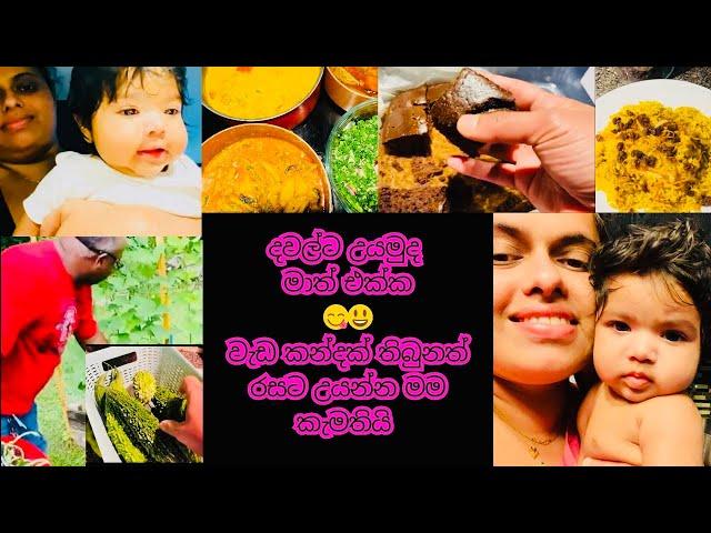 A Happy Life in America | Delicious Srilankan Food | එන්න අපි දවල්ට උයමු| USA |day in the life