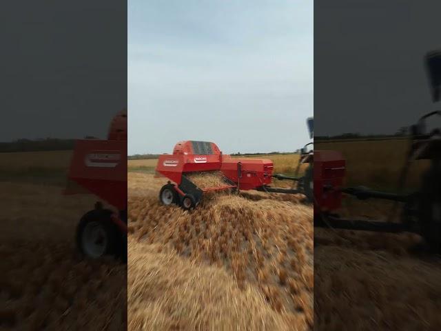 MASCHIO GASPARDO Square Baler #maschio #maschiogaspardo #automobile #farming #agriculture