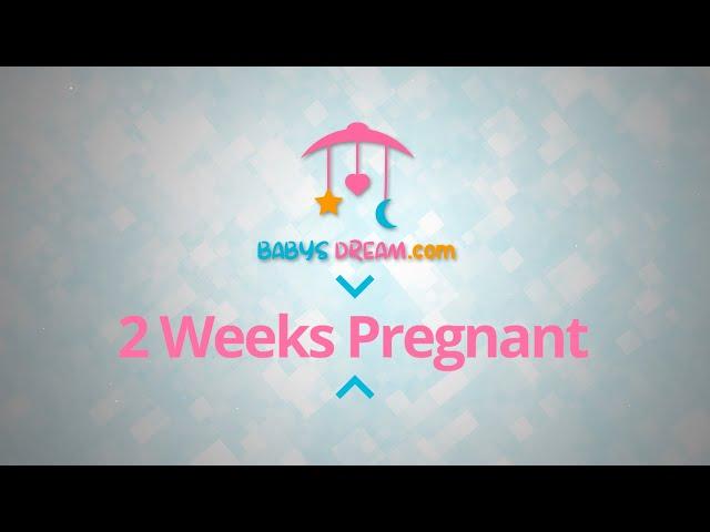 2 Weeks Pregnant | pregnancy signs and symptoms