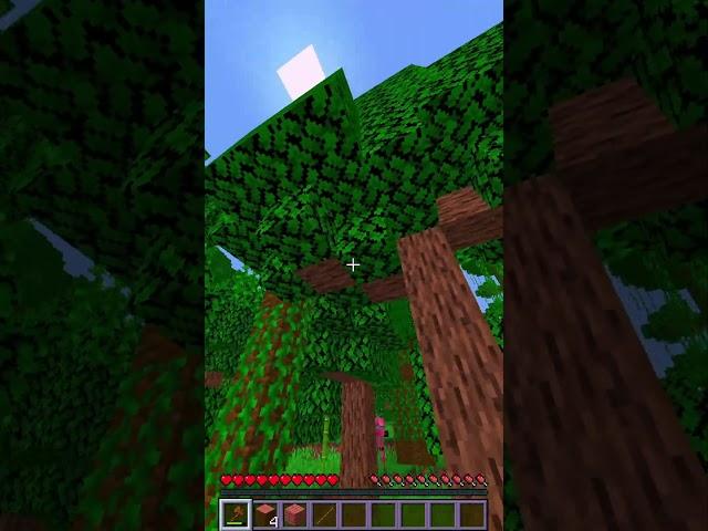 #minecraft minecraft guessing game :)