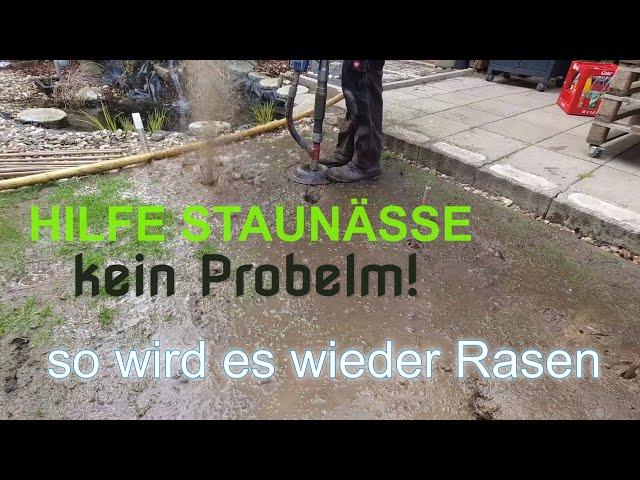 Staunässe im Rasen verhindern  was tun gegen Staunässe  Staunässe Rasen   – NewWonder555