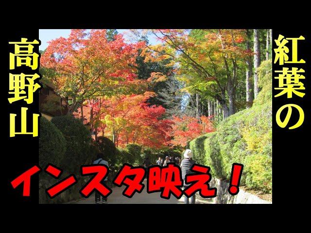 【ちかくの車窓から】紅葉の高野山の車窓から　 KOYASAN / JAPAN