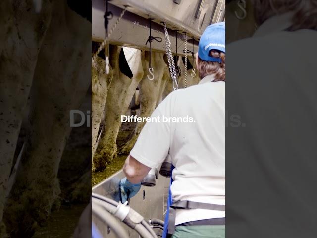 Future-proof your parlour with DeLaval milking automation | DeLaval #ReCharge #welivemilk