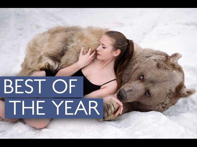 Best Videos Of The Year Compilation | Caters TV