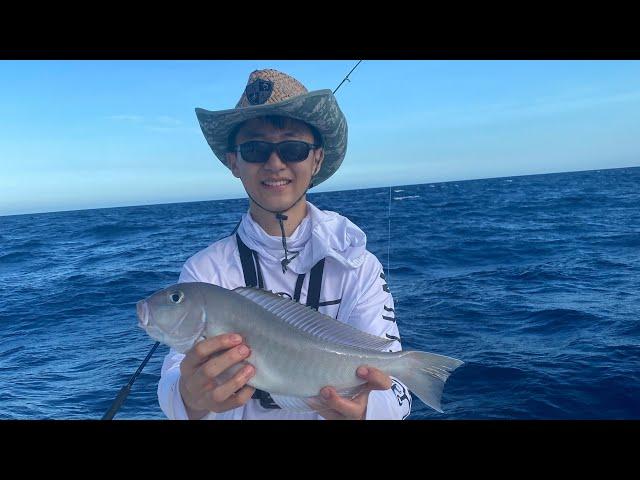 Multi-species Fishing Reefs and Deep Water in South Florida!