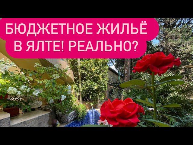 ЯЛТА. КРЫМ. ОШАЛЕТЬ! Бюджетное жильё РЕАЛЬНО?Цены на жильё в Ялте!Набережная.Приморский пляж. Обзор!