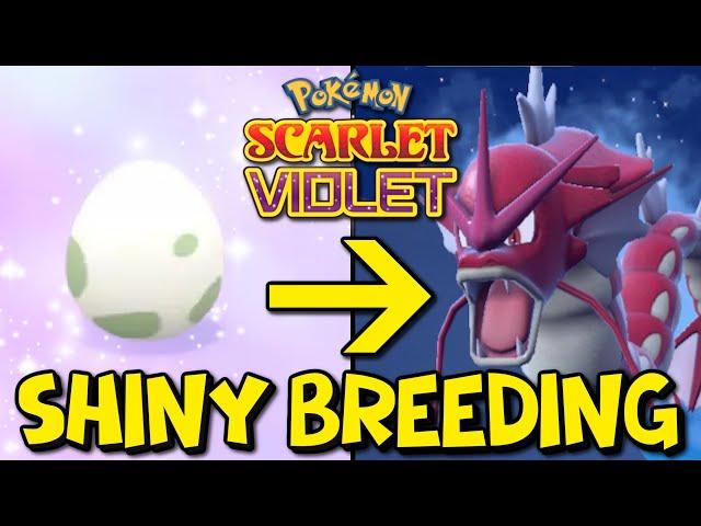 How To Shiny Hunt Using The Masuda Method in Pokemon Scarlet & Violet! Easy Shiny Breeding Guide!