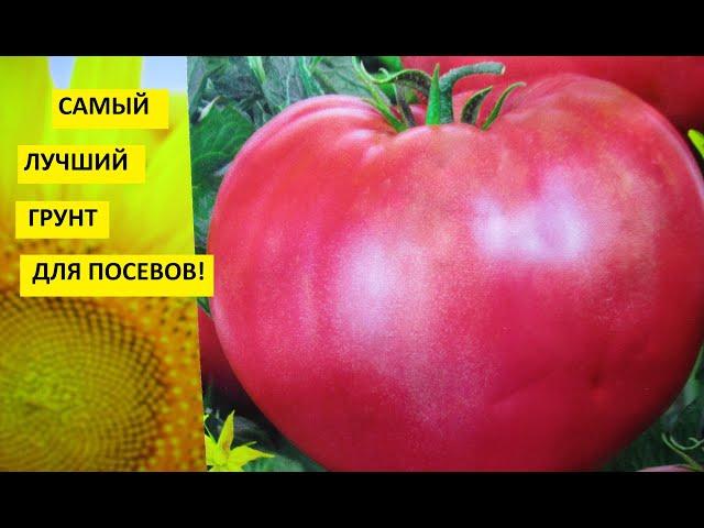 Грунт для выращивания рассады своими руками - самая дешевая почва для посевов!