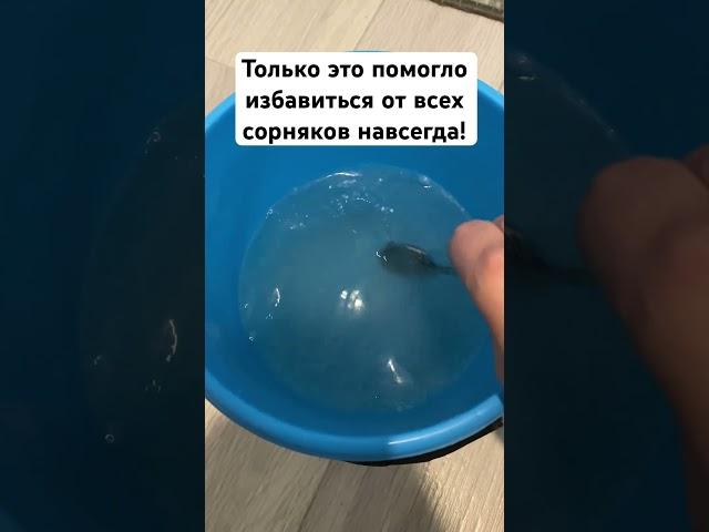 Только это помогло избавиться от всех сорняков навсегда!