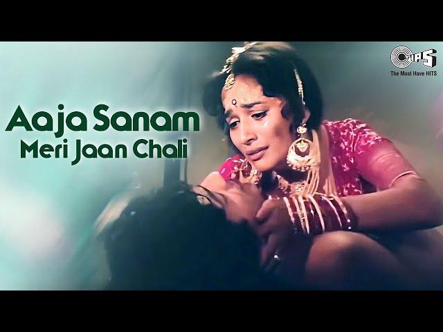 Aaja Sanam Meri Jaan Chali | Madhuri Dixit | Sukhwinder Singh | Khilaaf