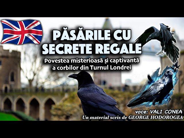 Păsările cu secrete regale * Povestea misterioasă și captivantă a corbilor din Turnul Londrei