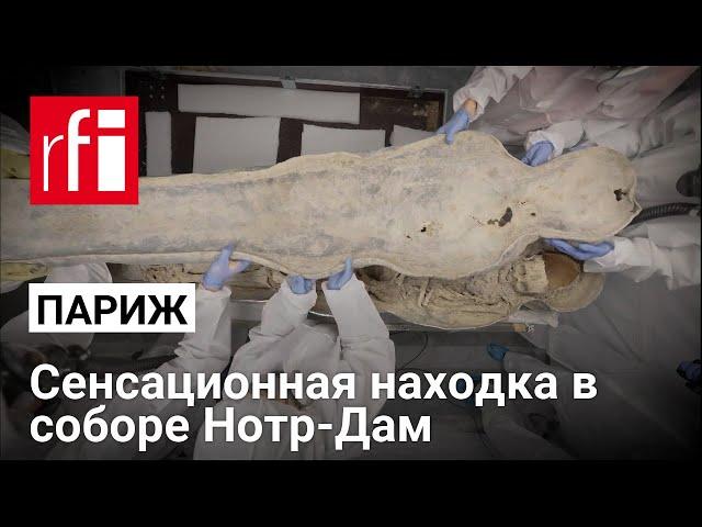 В парижском соборе Нотр-Дам обнаружили могилу поэта XVI века Жоашена Дю Белле