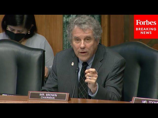 Sherrod Brown Leads Senate Banking Committee Hearing On Racism In Financial Sector