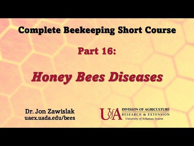 Part 16: Honey Bee Diseases