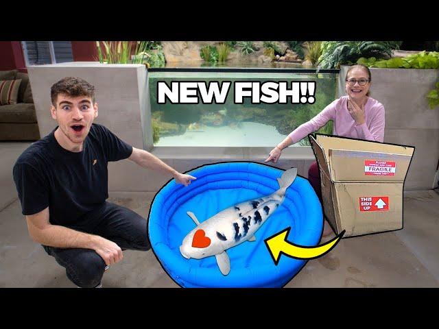 Unboxing The World’s Most Amazing Koi Fish!