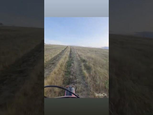 моменты на природе.