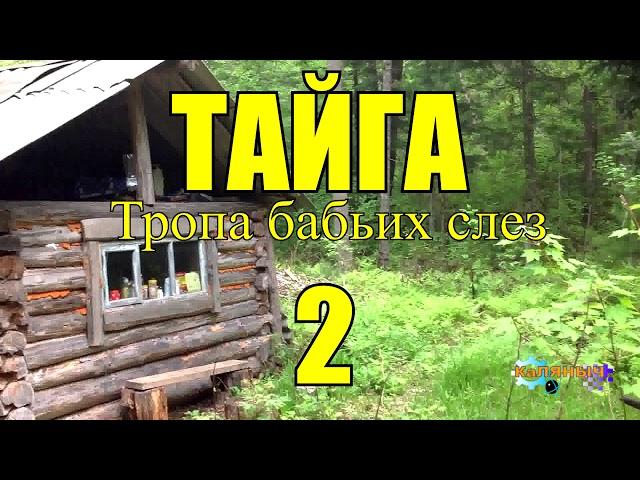 ОТШЕЛЬНИКИ | ЖИЗНЬ В ТАЙГЕ  2 из 16