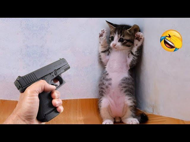 Funniest animals will make you laugh so hard 