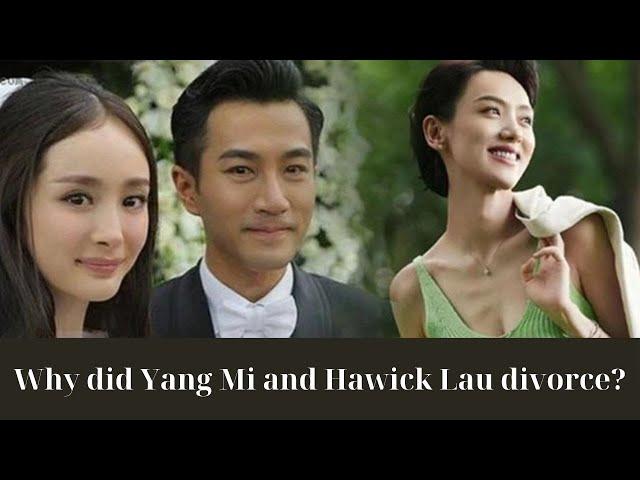 The Real Reasons Why Zang Mi and Hawick Lau Divorced