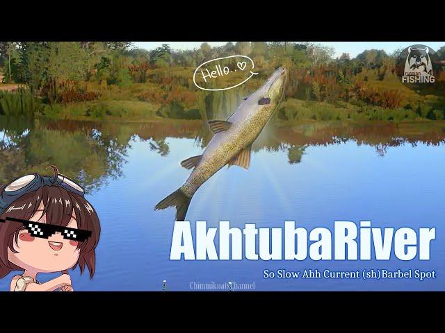 (Russian Fishing 4) Akhtuba Oh So Slowly Current Short-Head Barbel Spot! Test Your Patience in Here!