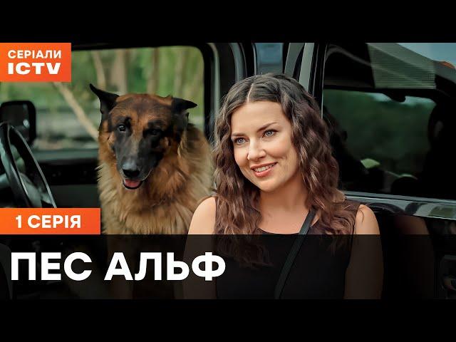 Пес Альф 1 сезон 1 серія | ДЕТЕКТИВИ | СЕРІАЛ  ICTV| КОМЕДІЇ | ПРЕМ'ЄРА