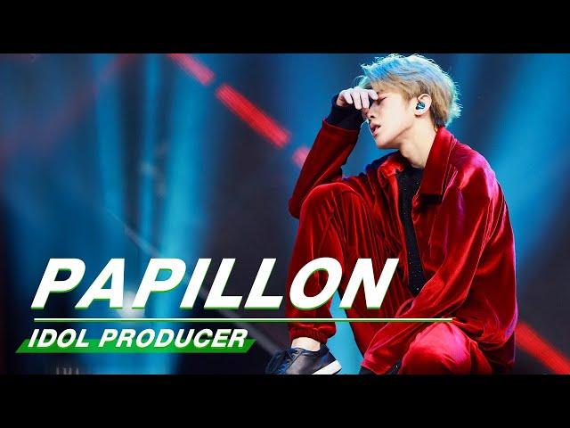 Review how YWY PD KUN performed Jackson Wang's"Papillon" 回顾蔡徐坤版《巴比龙》舞台 偶像练习生|Idol Producer | iQIYI