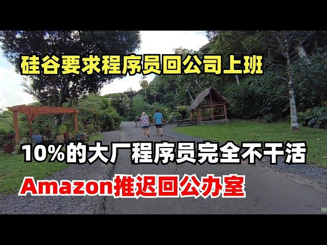 硅谷要求程序员回公司上班，远程工作如何建立信任，10%的大厂程序员完全不干活，Amazon推迟员工回公办室