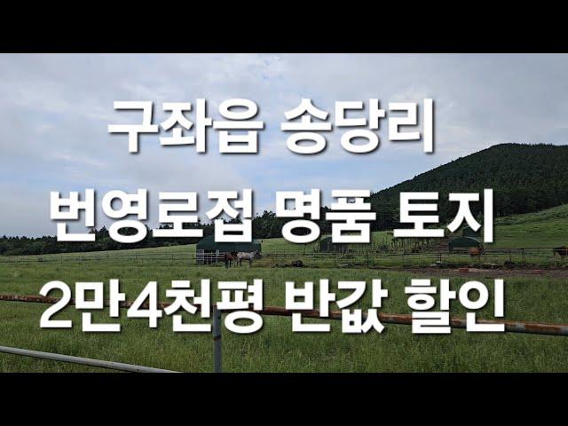 제주시 구좌읍 송당리 번영로접 명품토지 2만4천평 반값 할인 010 4436 0401 제주도 부동산 토지매매 급매물