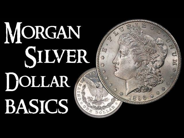 Morgan Silver Dollar Basics - Coin Collecting and Silver Stacking