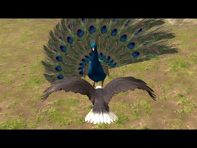 Eagle Vs All Boss - Ultimate Bird Simulator (By Gluten Free Games)