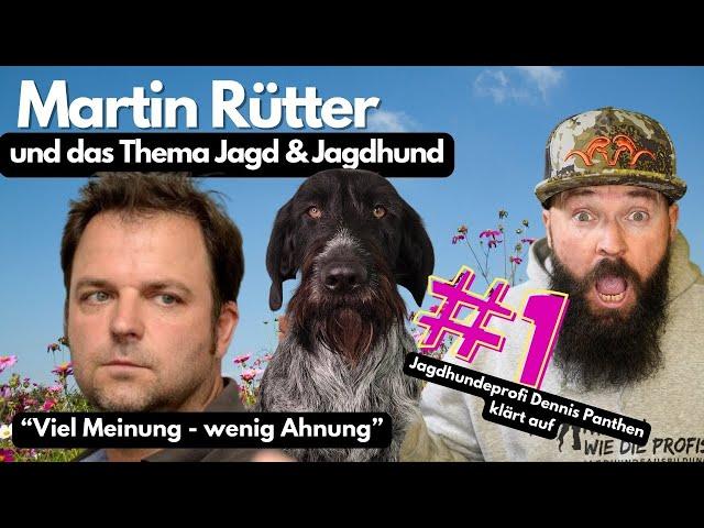 Martin Rütter und das Thema "Jagd & Jagdhund"- Jagdhundeprofi Dennis Panthen reagiert