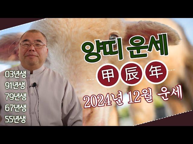 2024년 12월 양띠 도화살의 달?! 소통과 공감이 중요한데..ㅣ갑진년 양띠운세 03년생 91년생 79년생 67년생 55년생