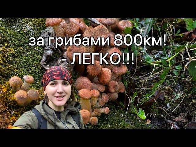 Местные обалдели от нашего улова! Еще бы, не зря 800км пёрлись