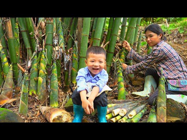 Single Mother - Harvesting bamboo shoots at the beginning of the season after rainy days - ly tu ca