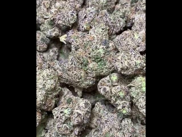 Buy Wholesale cbd flower - 1 pound of hemp flower for sale