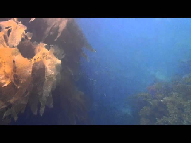 USC Wrigley Marine Science Center on Catalina Island