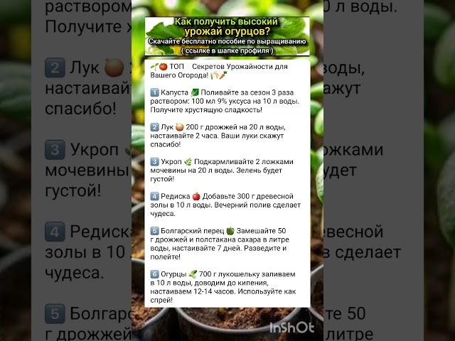 основные правила богатого урожая огорода.