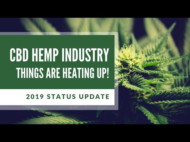 2019 CBD LAWS UPDATE - WHAT HAS CHANGED?