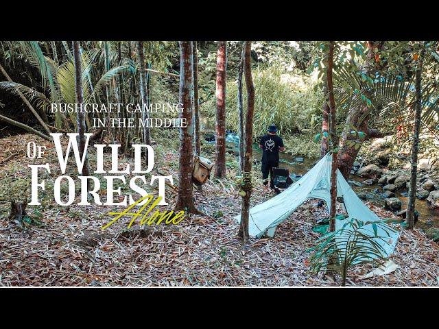 PINOY SOLO WILDERNESS CAMPING l COOKING STEAK l ASMR CAMP LIFE EP. 44