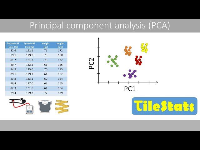 PCA : the basics - explained super simple