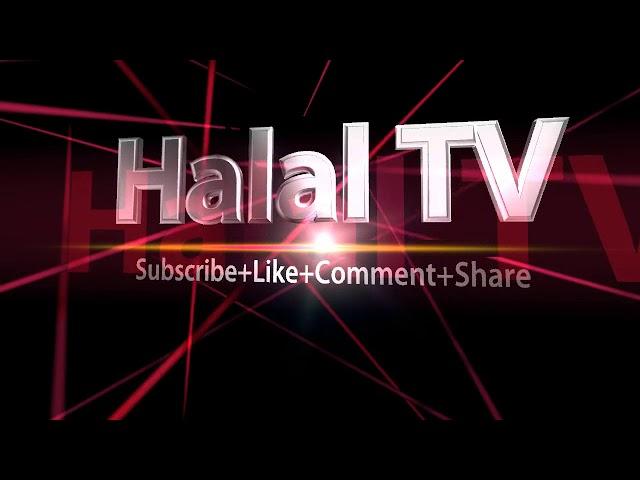 Halal Tv