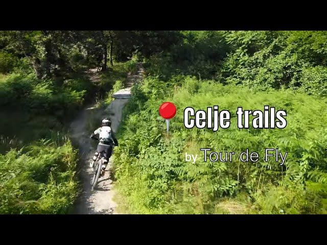 Exploring Celje trails | Friderik, Wild Pig & Fierce Wasp | Valentina's classic | Tour de Fly