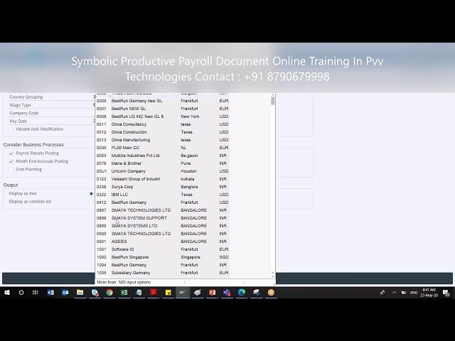 SAP Advanced Planner Us Payroll Online Training