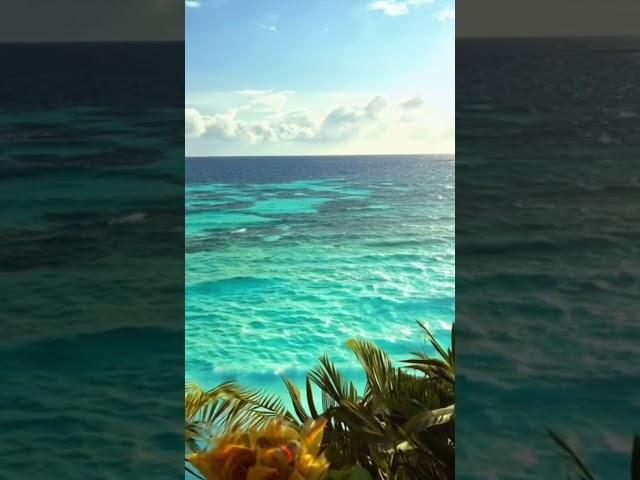 Turquoise Seas