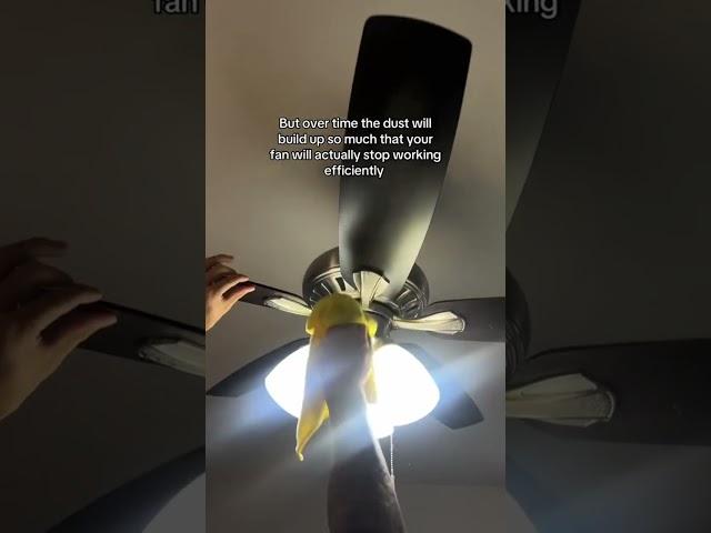 ONE YEAR OF DUST ‍️ How are these fans still working?! #dusting #houseclean #cleaning #asmr