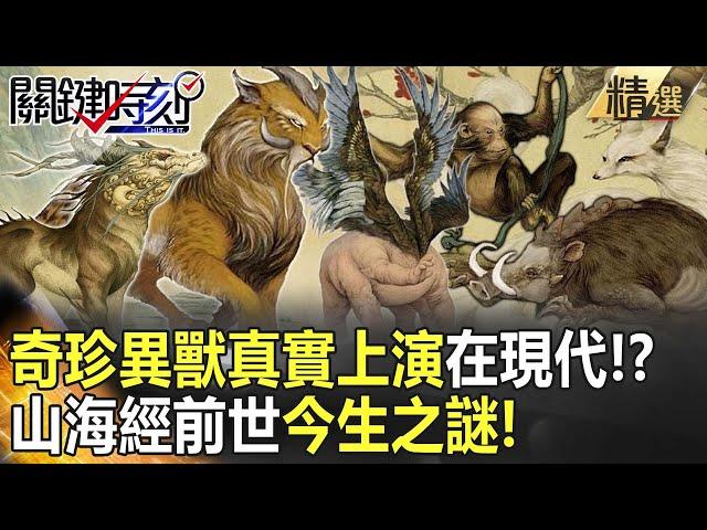 精選特輯│先秦傳說「奇珍異獸」真實上演在現代！？山海經前世今生之謎！【關鍵時刻】-劉寶傑 馬西屏 劉燦榮 朱學恒 傅鶴齡 黃創夏