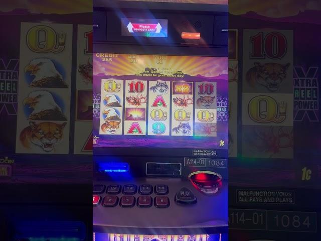 Buffalo Slots 🪙 Bonus Video #buffaloslot #casino #slotmachinebonus