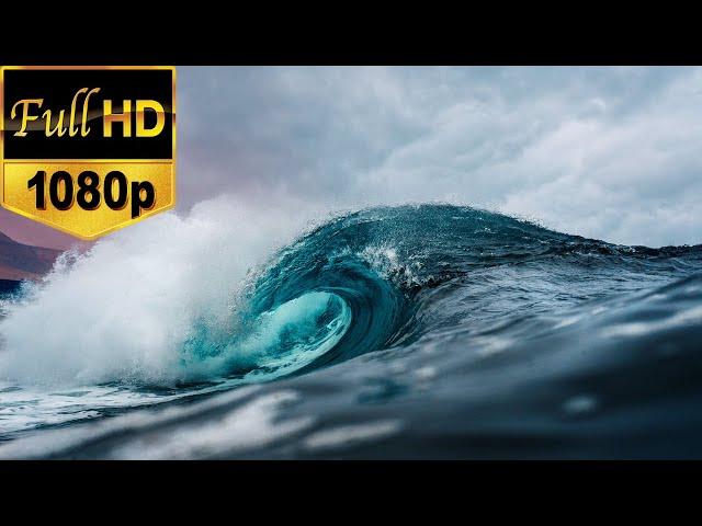 Sea Stock Footage | Free HD Video - no copyright