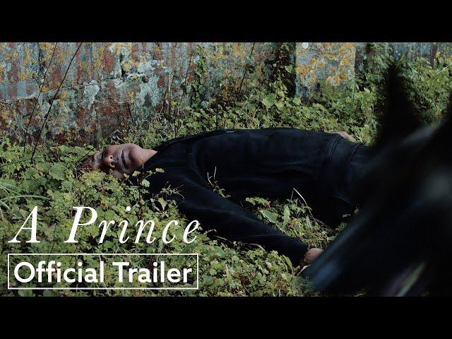 A Prince | Official Trailer HD | Strand Releasing