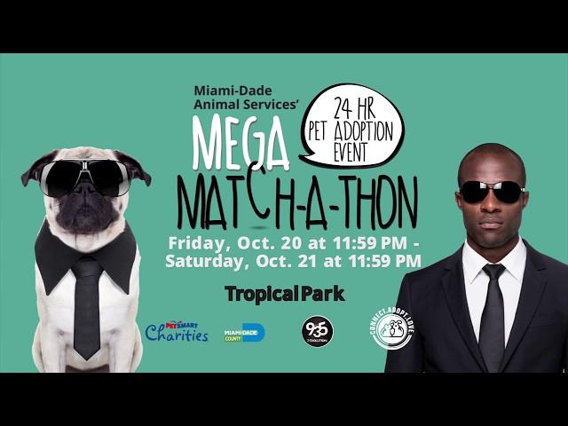 Miami-Dade Animal Services' 24-hour Mega Match-a-thon Pet Adoption Event